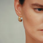 Daphine Ella earrings in gold with cubic zirconia