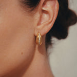 Daphine Ella earrings in gold with cubic zirconia