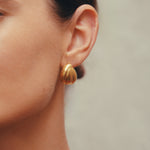 Daphine Fran earrings in gold